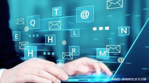 湖南助企文化傳媒 企業(yè)網(wǎng)絡(luò)營銷推廣與網(wǎng)絡(luò)經(jīng)營實戰(zhàn)指南