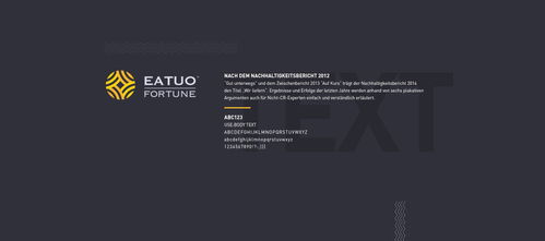 塑造卓越形象，鑄就財富投資企業(yè)的品牌之光